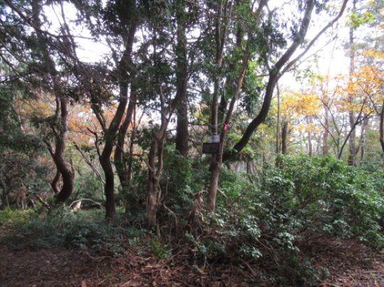 画像39